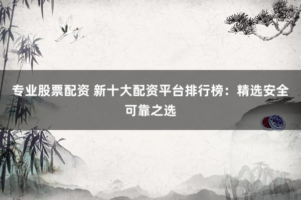 专业股票配资 新十大配资平台排行榜：精选安全可靠之选