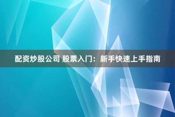 配资炒股公司 股票入门：新手快速上手指南