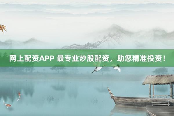 网上配资APP 最专业炒股配资，助您精准投资！