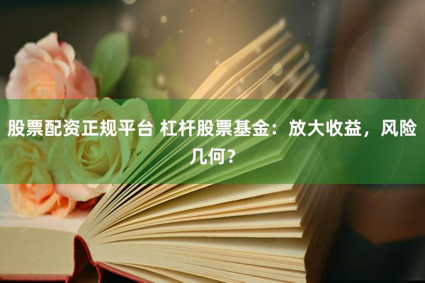 股票配资正规平台 杠杆股票基金：放大收益，风险几何？