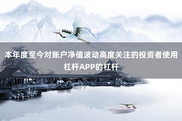 本年度至今对账户净值波动高度关注的投资者使用杠杆APP的杠杆