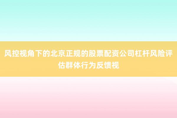风控视角下的北京正规的股票配资公司杠杆风险评估群体行为反馈视