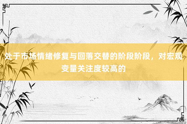 处于市场情绪修复与回落交替的阶段阶段，对宏观变量关注度较高的