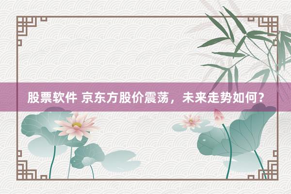股票软件 京东方股价震荡，未来走势如何？