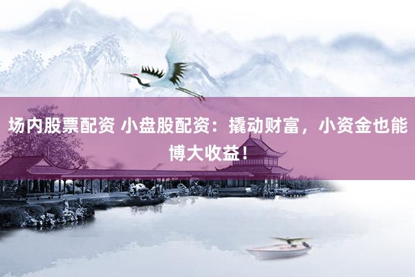 场内股票配资 小盘股配资：撬动财富，小资金也能博大收益！